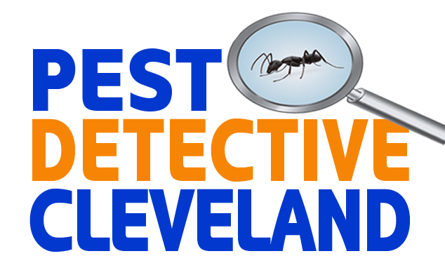 pest detective logo